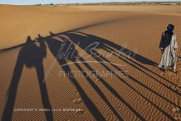 Image du Maroc Professionnelle de  L'ombre d'une caravane avec son guide et ses touristes au lever du soleil sur les dunes de sable du Sahara à Merzouga dans la région de Drâa-Tafilalet au Sud Est du Maroc, le long de ce que l'on appelle la route des mille kasbahs, Dimanche 5 mars 2017. De nombreux touristes visitent les dunes de Merzouga à l’aube pour contempler la beauté du lever du soleil sur les dunes de sable du Sahara. (Photo / Abdeljalil Bounhar 